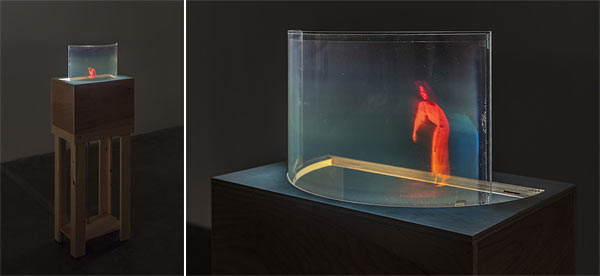 Multiplex hologram Stirring Crawling  by Simone Forti featured in the LACMA 3D DOUBLE VISION exhibition 2018