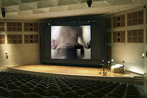 Virtual Flesh by Al Razutis 1997 screening at Louvre Auditorium - simulated - click for   page