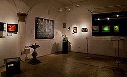 click for Deja Vu holographic art and 3D display exhibition installation photos